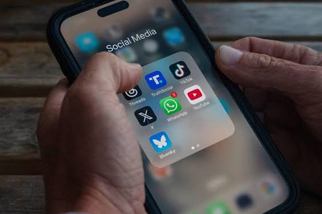 Social Media Fraud Case Assessment
